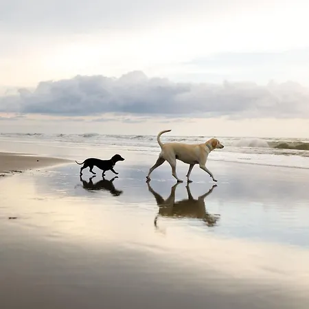 Dom wakacyjny Bellas Retreat - Part Of The The Bay Filey Village With Pool, Gym And Direct Access, Pub, Restaurant, Tennis And Meadows Walks *